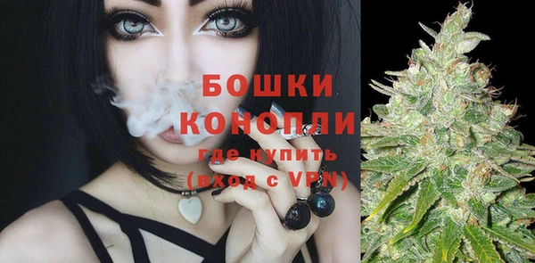 прущие грибы Верхнеуральск