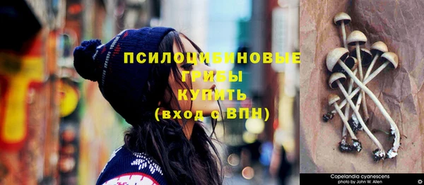 эйфоретик Бугульма