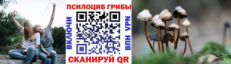 Псилоцибиновые грибы Magic Shrooms  MEGA как зайти  Дмитриев 